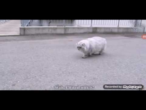 Les Gros Mots 2 Parole De Chat Youtube Les Gros Mots 2 Parole De Chat Youtube