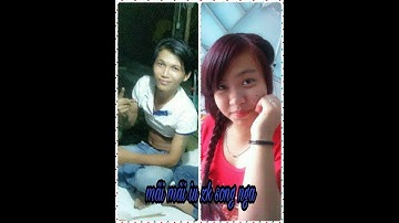 2018 thanh cá chép