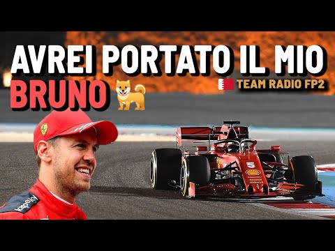SEBASTIAN VETTEL A saperlo Portavo Bruno | GP del Bahrain 2020 Team Radio FP2 COMMENTATO