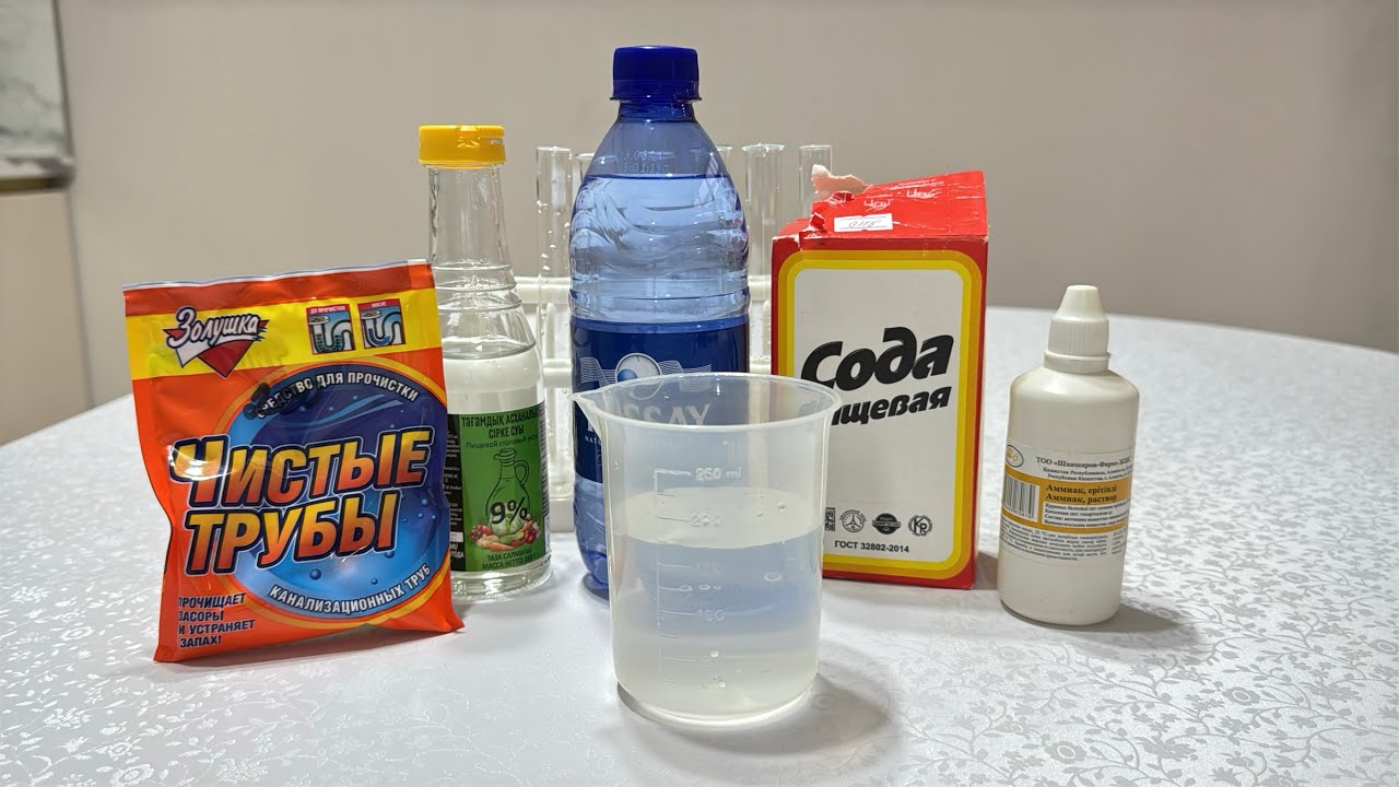 ҚЫЗЫҚТЫ ХИМИЯ I ИНДИКАТОР I ТАБИҒИ ИНДИКАТОР І ҮЙ ЖАҒДАЙЫНДА