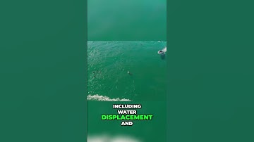 🌊🏄‍♂️GTA VI