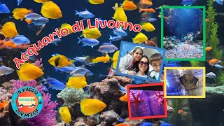 Acquario di Livorno | In viaggio con Merida | Video 21