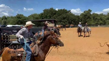 Heel Horse Position and Bridling Up with Ross Ashford