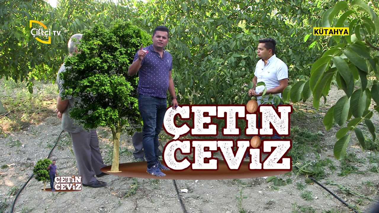 Bahçe Kurumunda yaşananlar - Çetin Ceviz / Çiftçi TV