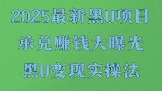 在线赚美金的项目,网络赚钱项目 兼职副业平台app, 赚钱项目 兼职副业 网赚 USDT差价兑换,2025最新网赚黑U 跑分稳定项目,项目 讲解 网赚 毫无风险。