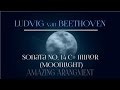Ludwig van Beethoven Sonata №14  Adagio Sostenuto (Moonlight) - Amazing Arangment
