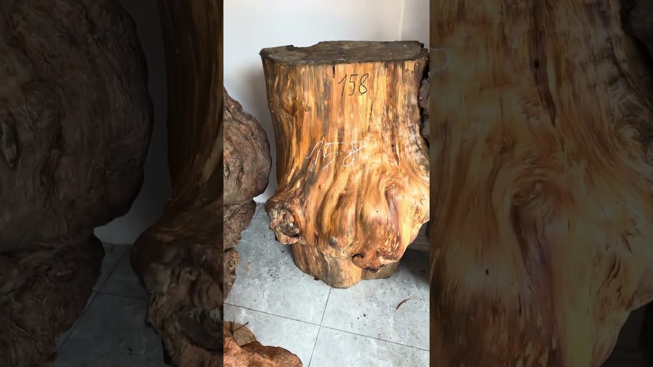 Gỗ nu sụn gỗ ngọc am thơm nức kích thước khổng lồ #điêukhắcgỗ #donoithat #phongthuy 
