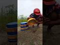 Rat trap with colorful box #survival #hunting #hunting #rattrap #agriculture #viralvideo