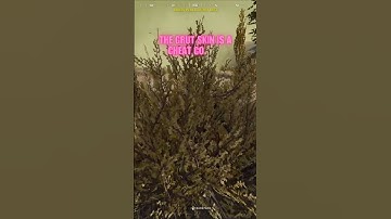 Groot is a cheat code #warzone #callofduty #gaming