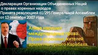 Алиева ждёт международные санкции за нарушение Декларация ООН о правах коренных народов/СМОТРИМ