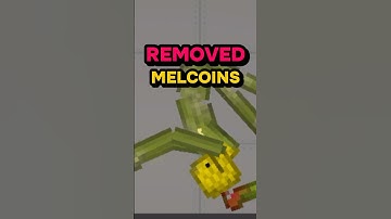 What If Melon Playground REMOVED MELCOINS!? 😱❌