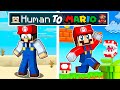 From Human to MARIO in Minecraft!