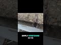 Master Resell Rights Smart Glasses Camera Video Camera Video Glasses Resell Rights Resale Rights
