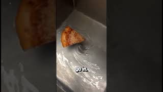 Pizza vs Sink Disposer