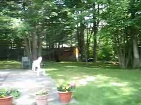 5 Frederick St, Chelmsford, MA home video tour