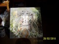 Beginning of video