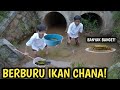 DRAMA BERBURU IKAN CHANA DI KALI YANG KOTOR BARENG OKEM