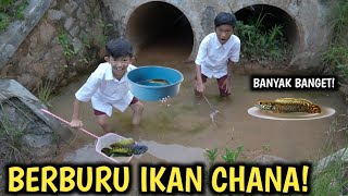 DRAMA BERBURU IKAN CHANA DI KALI YANG KOTOR BARENG OKEM