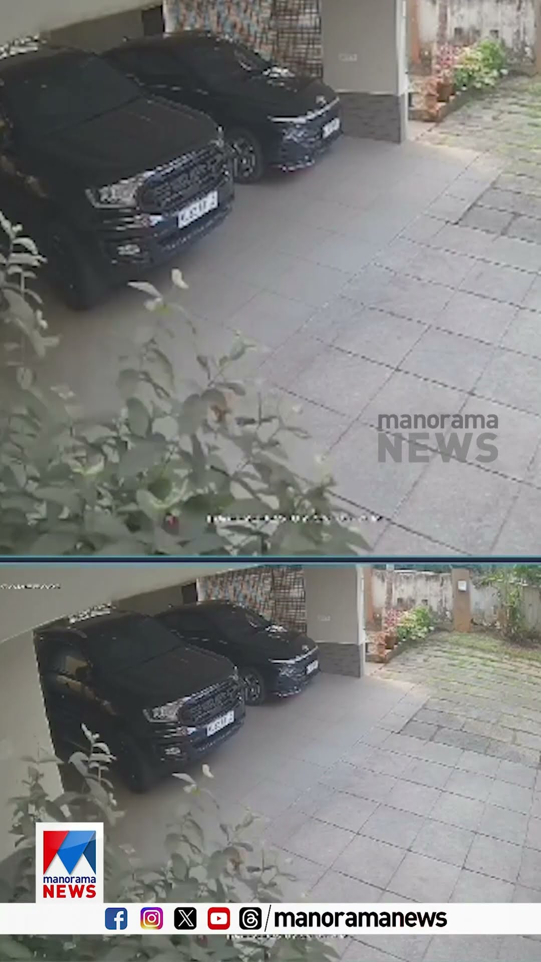 കോഴിക്കോട് പാലങ്ങാട് വീട്ടിലേക്ക് കാട്ടുപന്നിഓടിക്കയറി;  ദൃശ്യങ്ങള്‍ ​| kozhikode