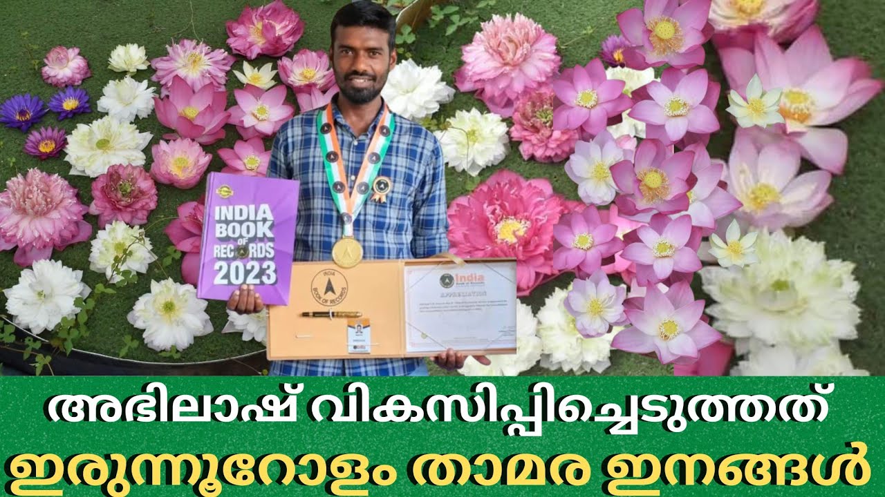 ഏറ്റവും ചെറിയ താമര മുതൽ സഹസ്ര ദള പത്മം വരെ അഭിലാഷ് വികസിപ്പിച്ചത് ഇരുന്നൂറോളം ഇനങ്ങൾ / LOTUS GARDEN