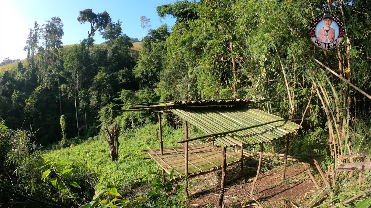 สร้าง กระท่อมไม้ไผ่ แบบภูมิปัญญาดั้งเดิม ชาวบ้าน บนดอย