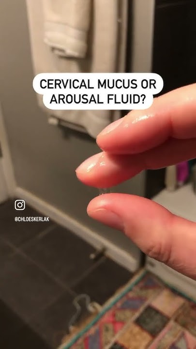 How To Tell The Difference Between Arousal Fluid And Cervical Mucus how-to-tell-the-difference-between-arousal-fluid-and-cervical-mucus