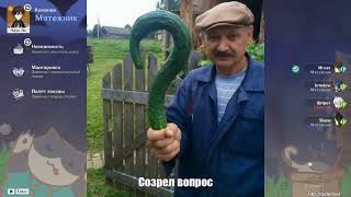картинка: Животные прятки в Genshin Impact. Дед продолжает бегать по следам ветра #4