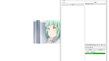 Hydrus Network: Manual Tagging (8/14)
