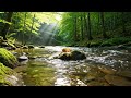 Relaxing water flow sounds
