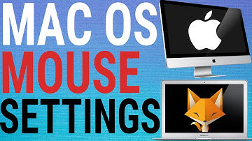 How To Adjust Magic Mouse Settings on Mac OS
