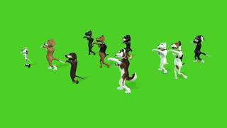 no copyright dog dance green screen cartoon video please subscribe formore video#cartoon#greenscreen