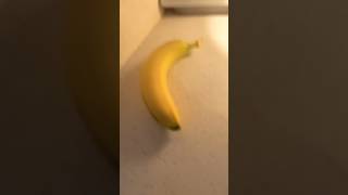 BANANAAA NEXT TO A BANANAAA #funnyshorts #banana #chickenbanana