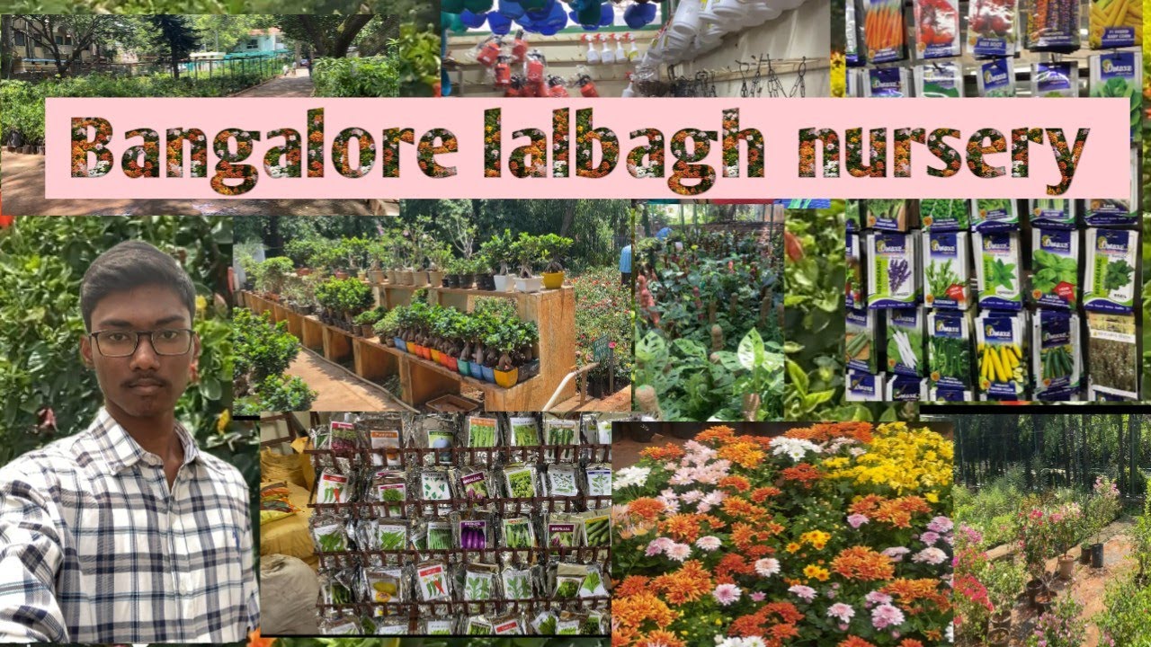 banglore lalbagh nursery YouTube