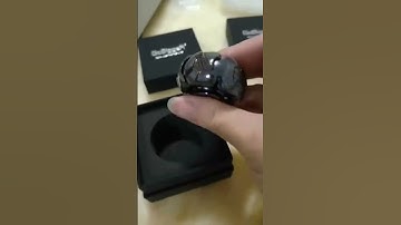 Limited Edition Copper Inlaid GobiggeR Pillbug Fidget Spinner