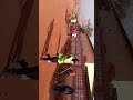 17 Février 2025 17 Février 2025