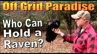 OFF GRID PARADISE. A Gift In The Forest. Giving Back To Nature. by OFF GRID HOMESTEADING With The Boss Of The Swamp 19,657 views 1 month ago 11 minutes, 56 seconds