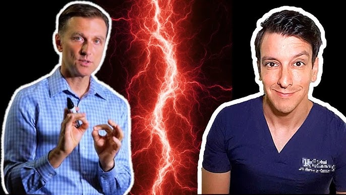 Dr. Eric Berg gets fact-checked by MD PhD doctor - YouTube