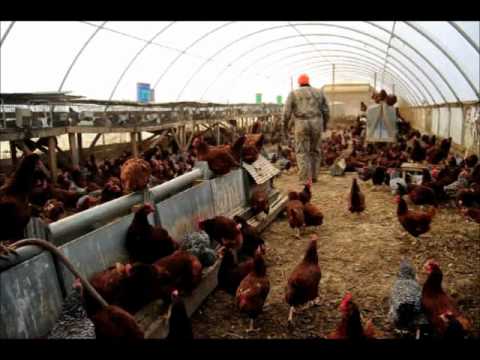 Class Tour of Polyface Farm - Part 1 - Chicken Coop