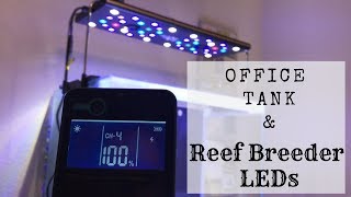 New Office Tank & 1/2 Price High Output LEDs