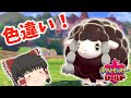 【ポケモン剣盾】色違いが出るまで1番道路!?色ウールーが欲しい!【ゆっくり実況】