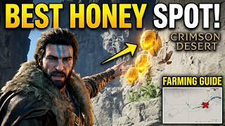 Best SPOT to Farm Honey in Crimson Desert (Step by Step)