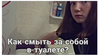 Как смыть за собой в туалете? Туториал для совсем тупых и отбитых чайников.