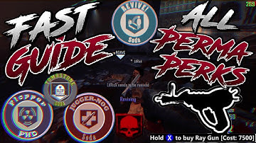 ALL PERMA PERKS (PERSISTENT UPGRADES) INDEPTH FAST GUIDE | BLACK OPS 2 TRANZIT, DIE RISE & BURIED
