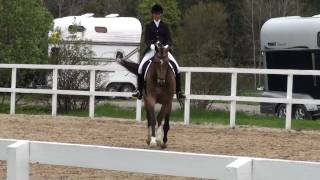 Framridning Hogsta