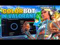 This Valorant Colorbot Doesn't Get You Banned (Guaranteed)