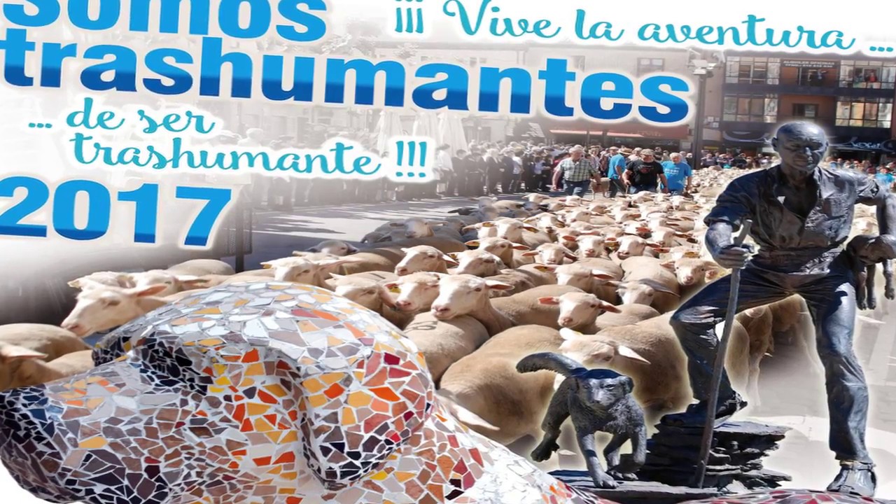 Día de Trashumancia en  Los Campos de Tierras Altas en Soria