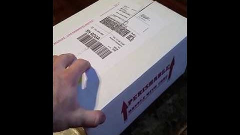 Ball Python Unboxing! Dynasty Reptile Greatness!