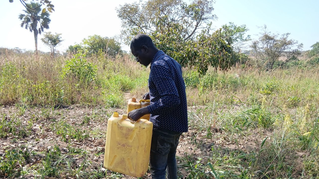 SURVIVING IN THE VILLAGE : Scavenging fruits, drinking from ancestral ponds and so much more.