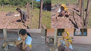 Mos Wb Ncaws Pav Zaub 24112025