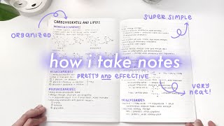 simple and aesthetic notes ♡ // my note-taking process ~ screenshot 5